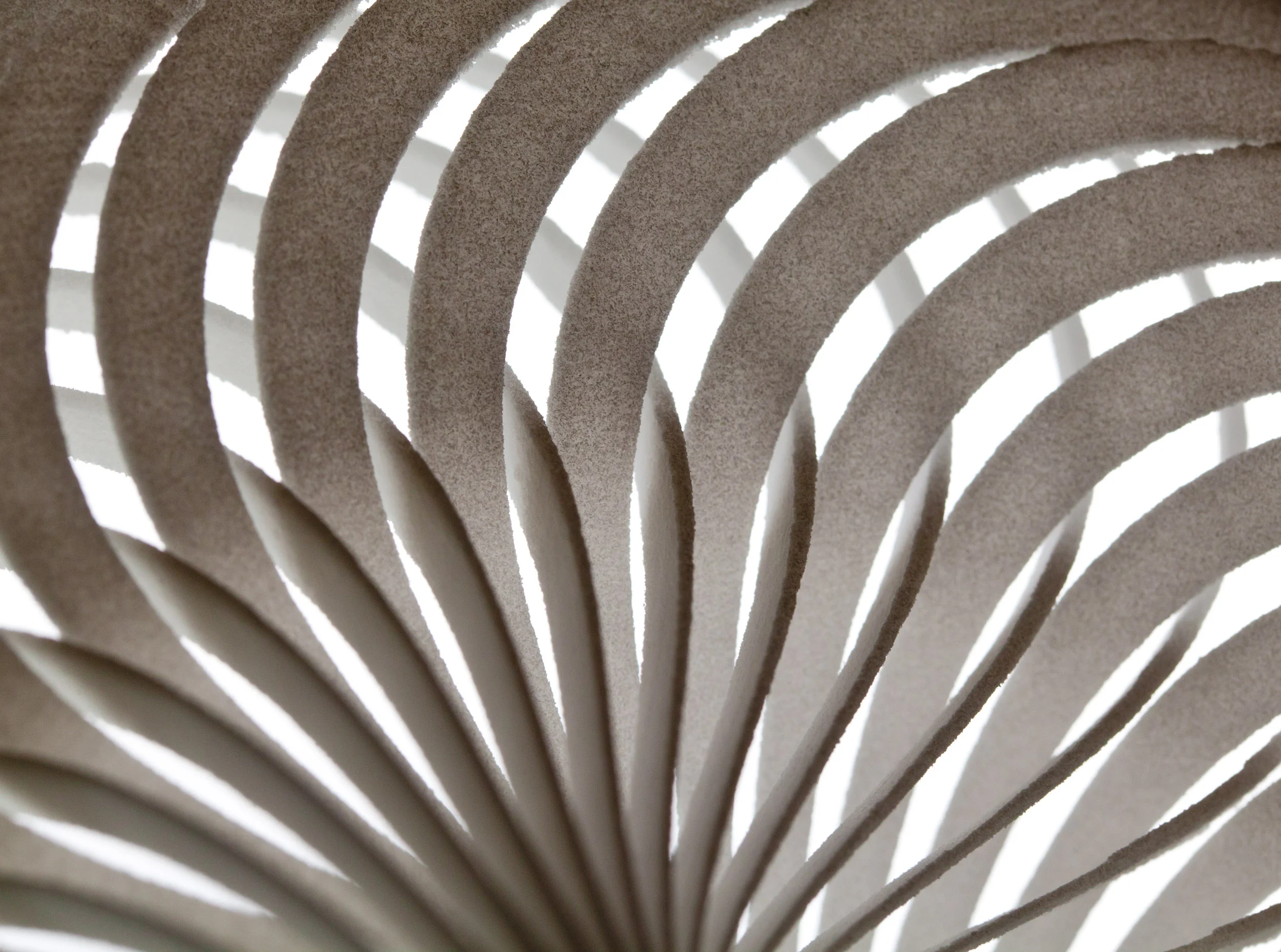 Mobius Nautilus - Fan.jpg