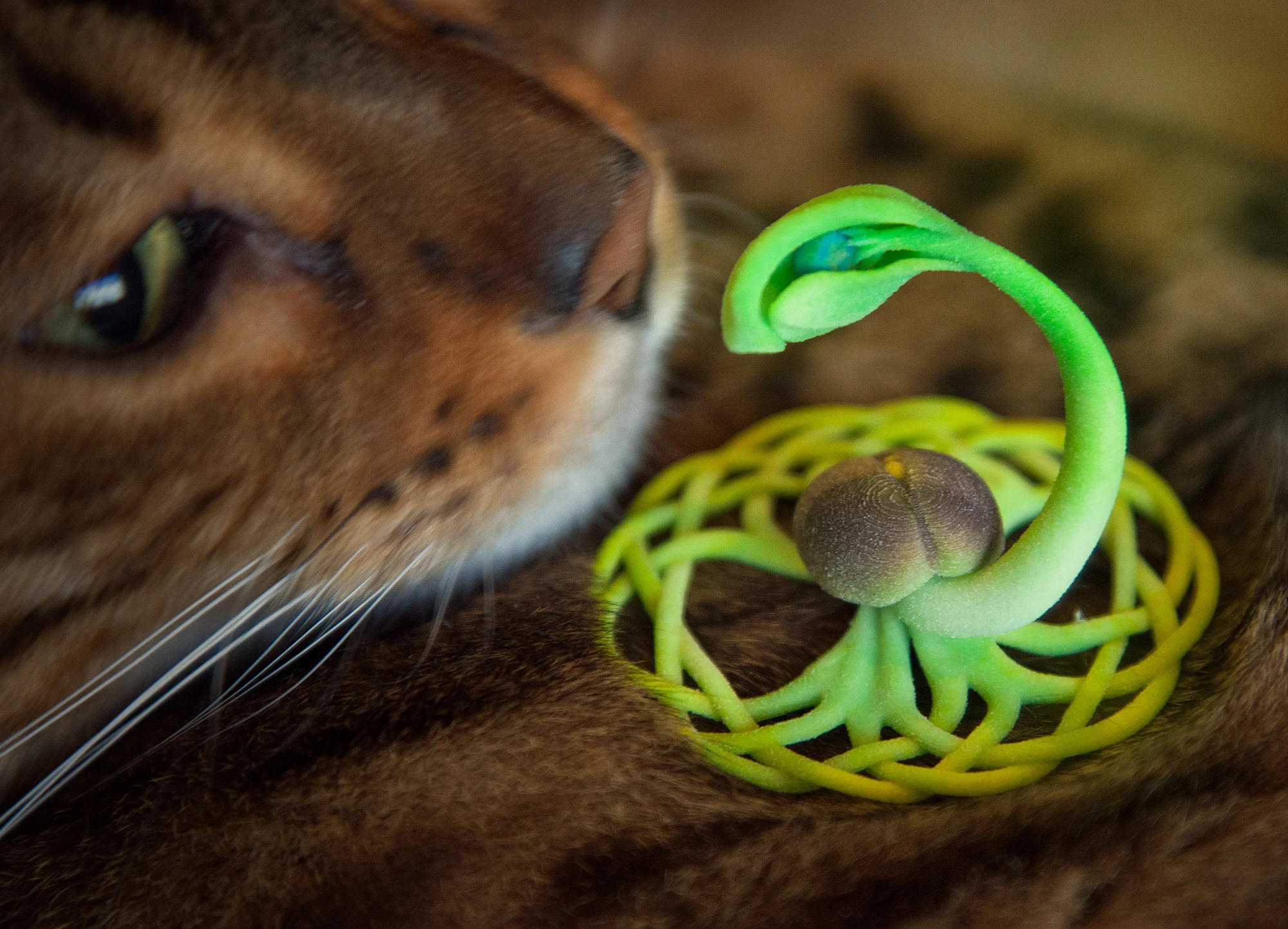 The Seed of Yggdrasil - Cat 1.jpg