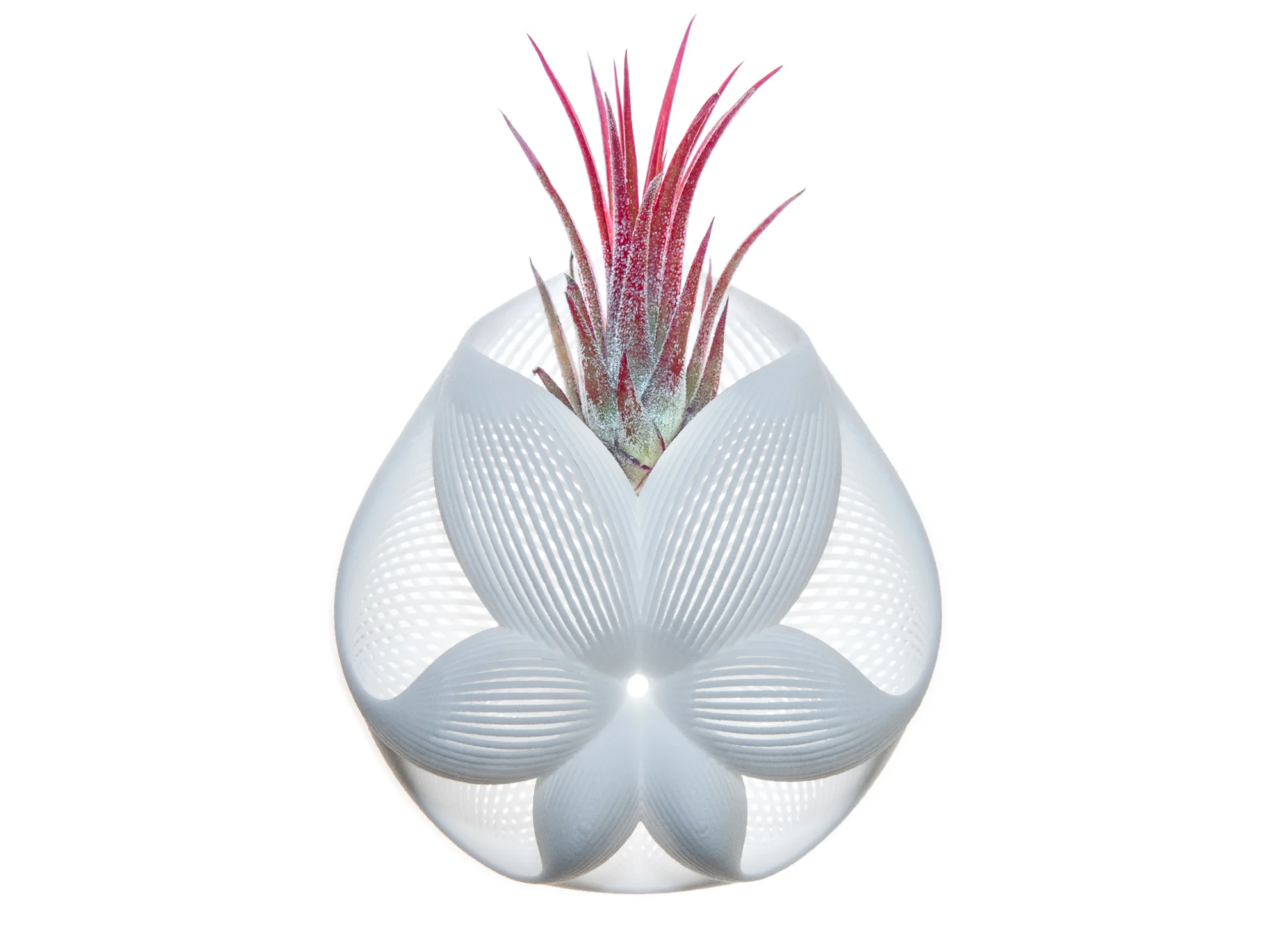 Simplex