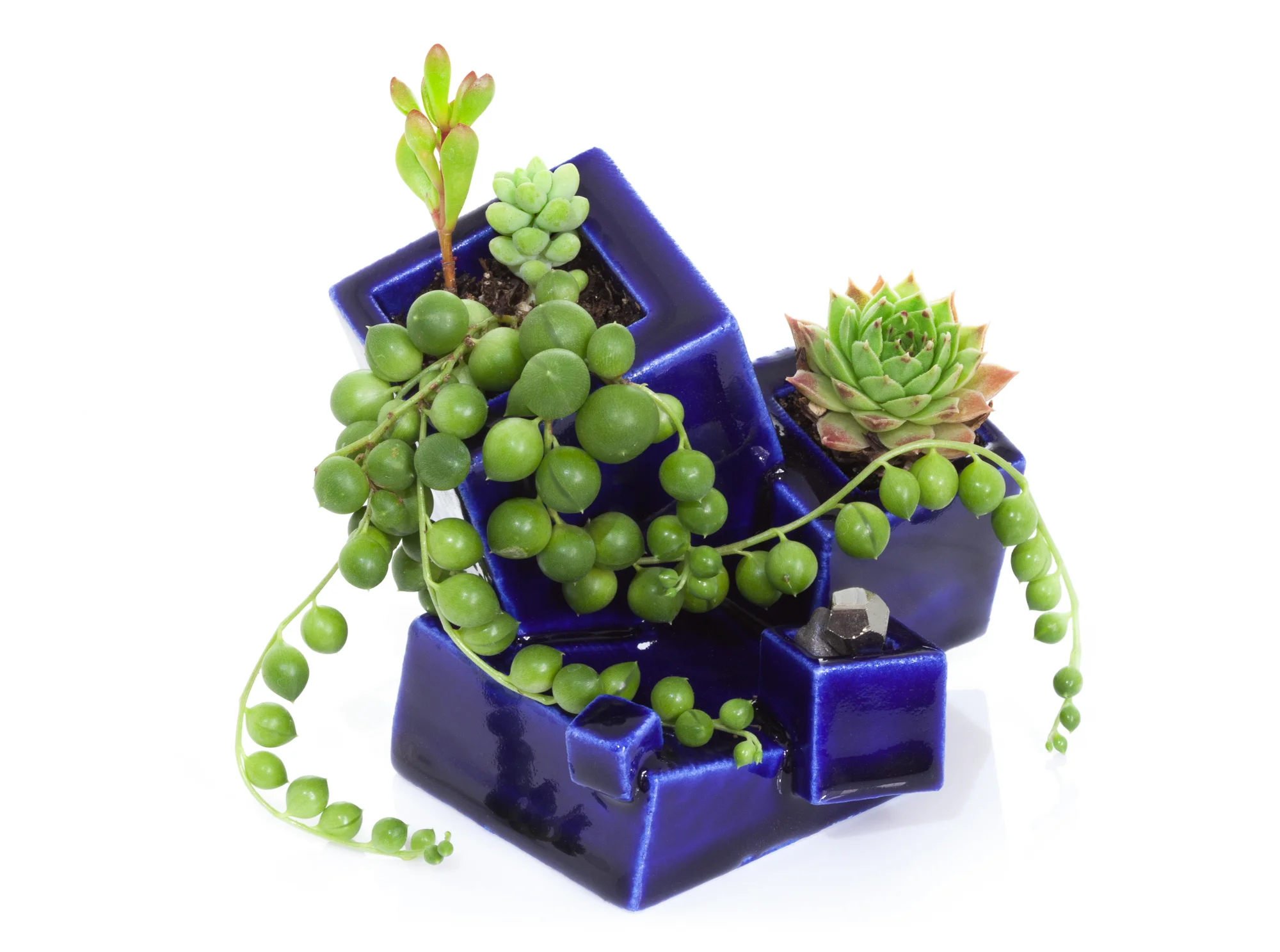 Cubite