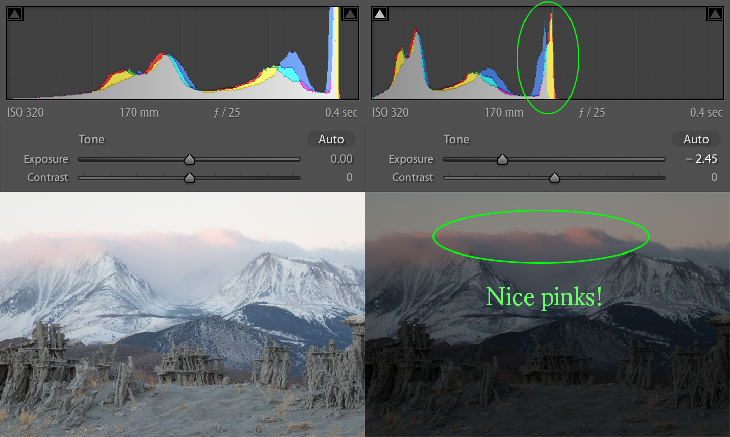 A more balanced exposure works better for this case, instead of ETTR.