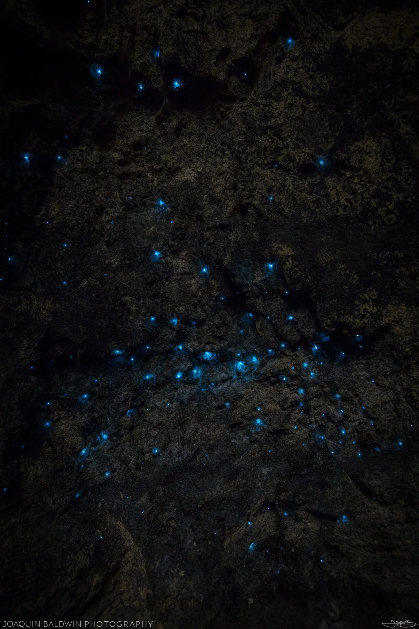 Globular Cluster