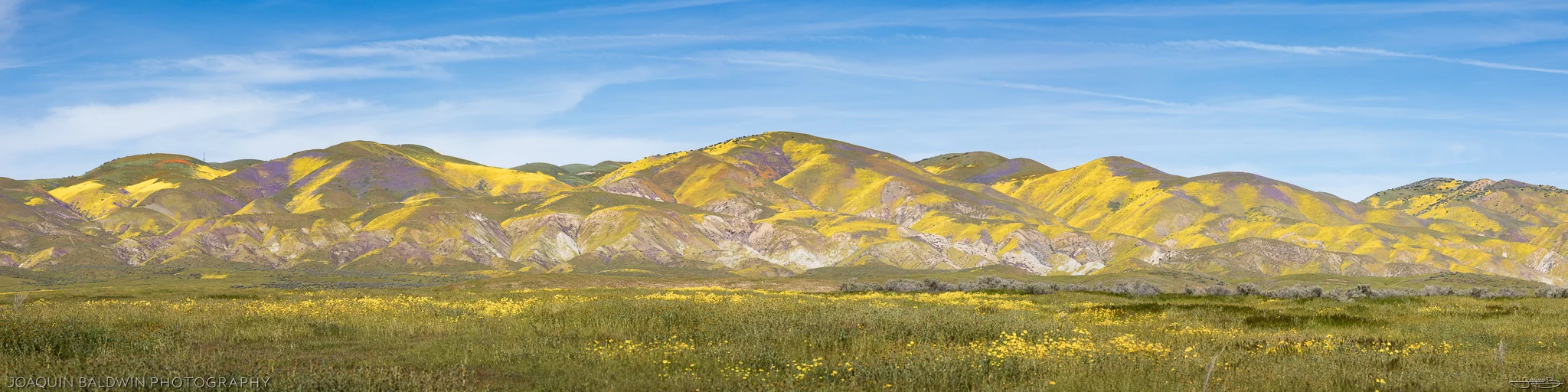 Painted Pano