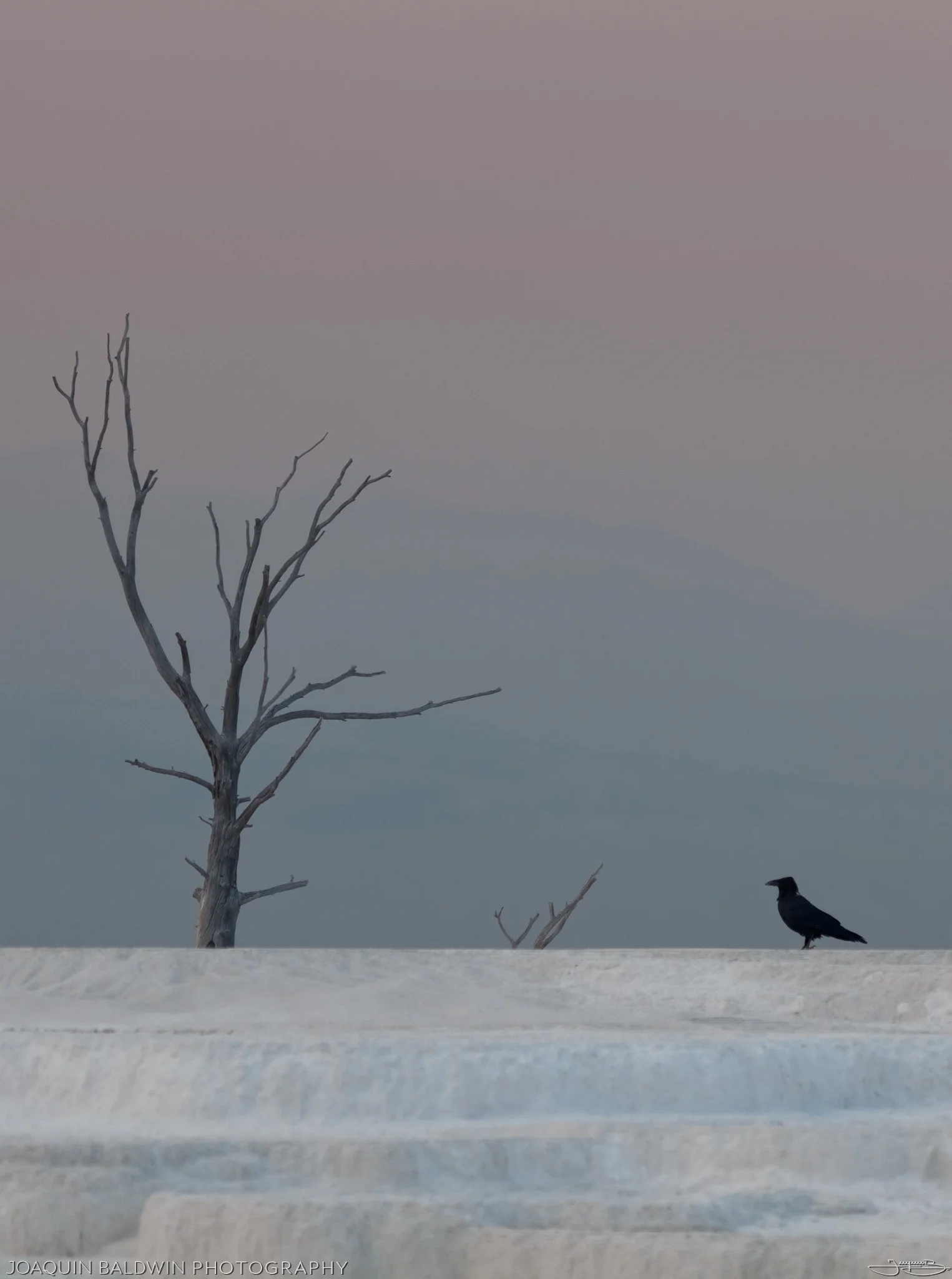 Ravenous