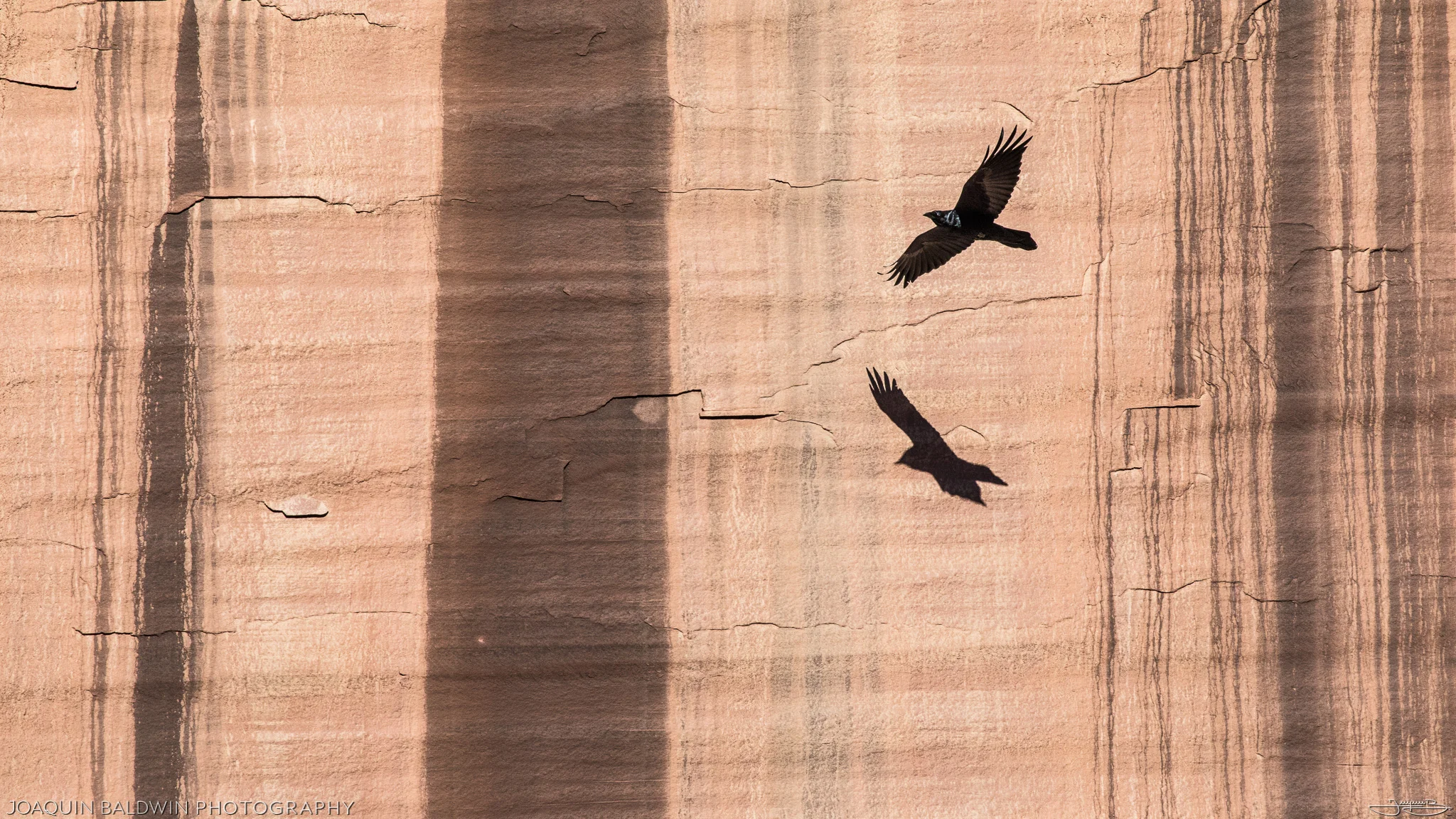 Petroglyphed