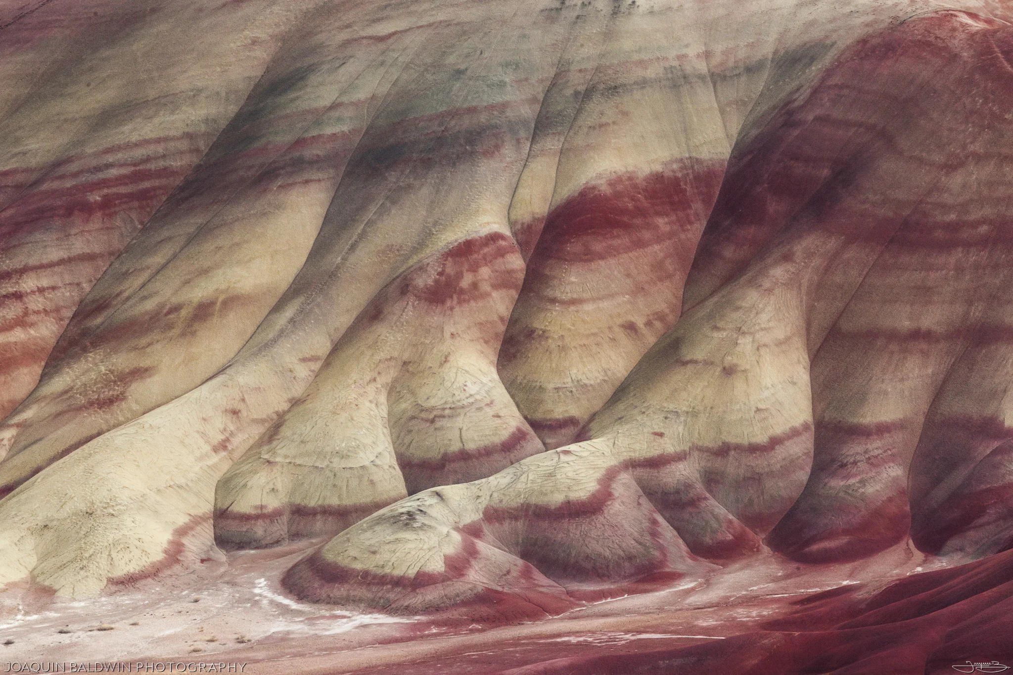 Painted Hills Reds