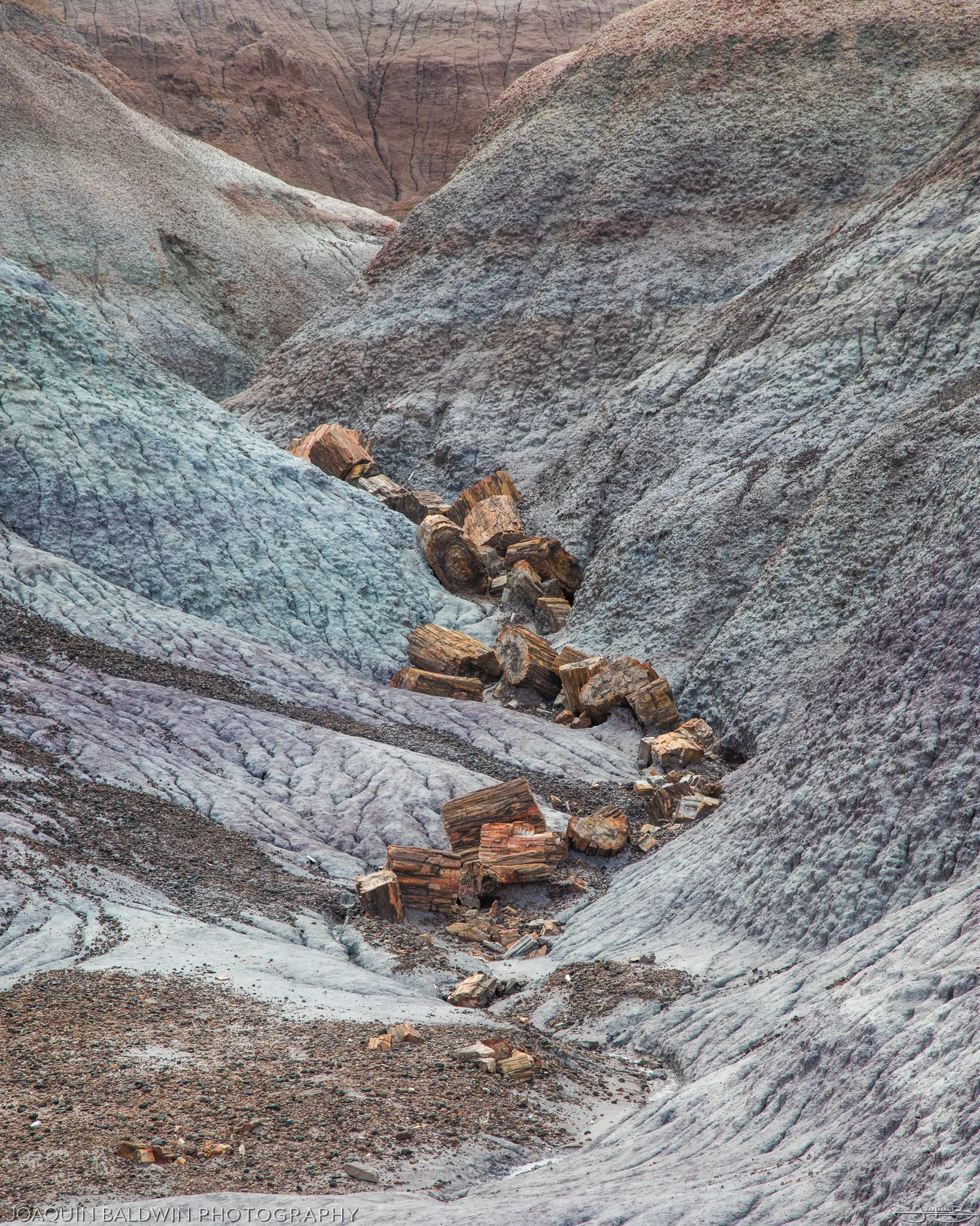 Petrified Stream
