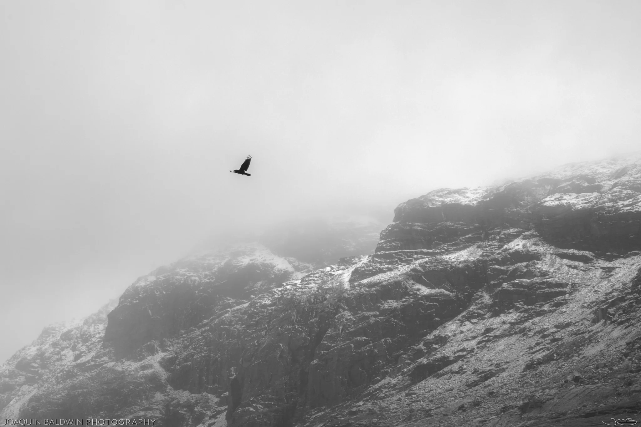 Ryfylke Raven
