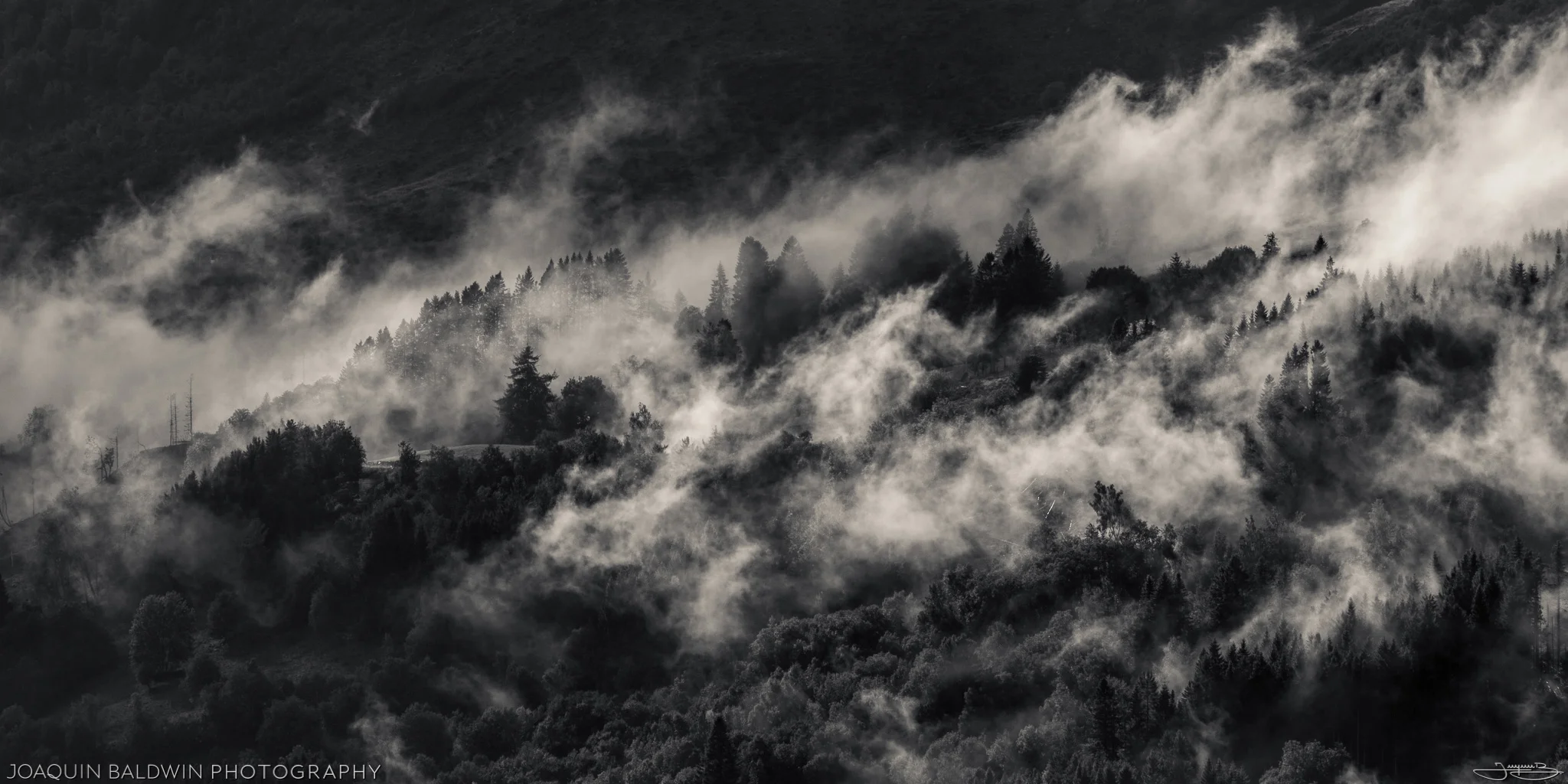 Vikebygd Fog