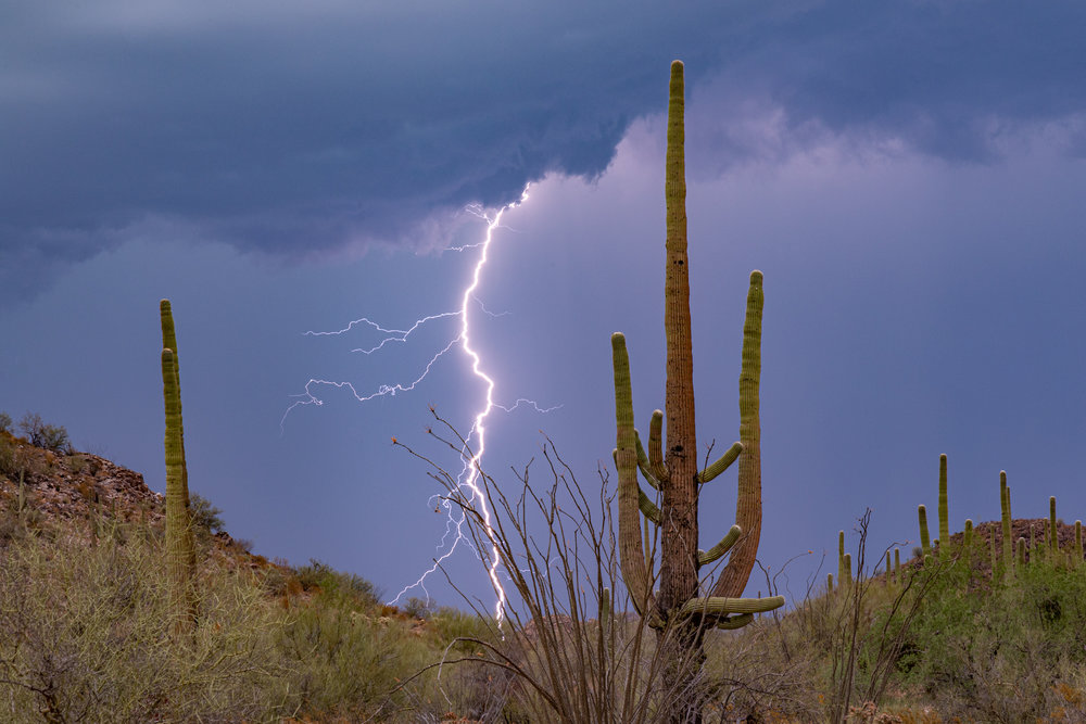 SaguaroNP_20190722_0081.jpg