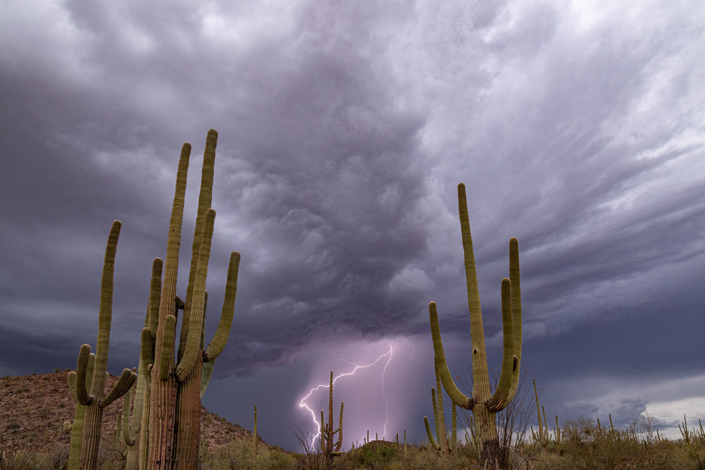 SaguaroNP_20190722_0146-2.jpg