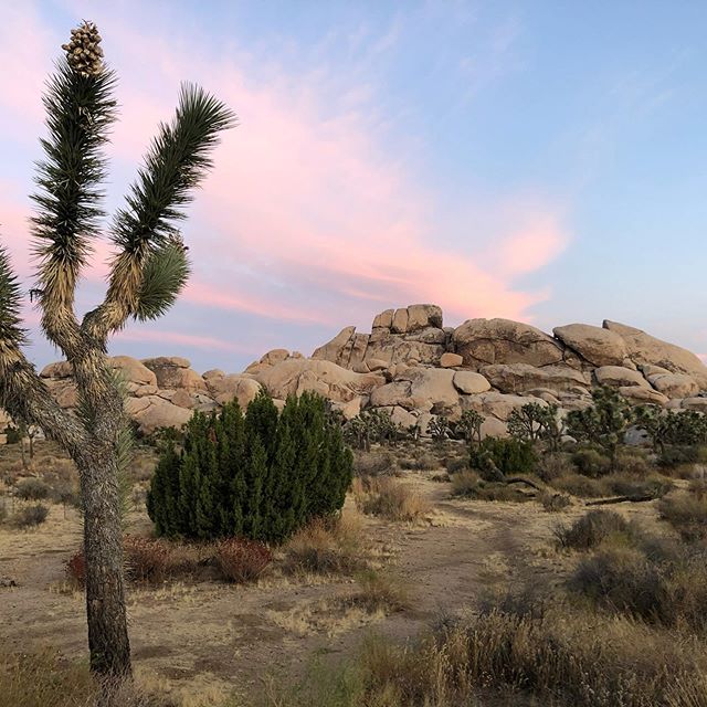 Sunrise at Hall of Horrors in Joshua Tree National Park #joshuatreenationalpark #nationalpark #findyourpark #sunrise #visitcalifornia