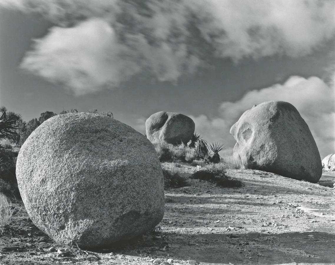 photographs of Joshua Tree NP