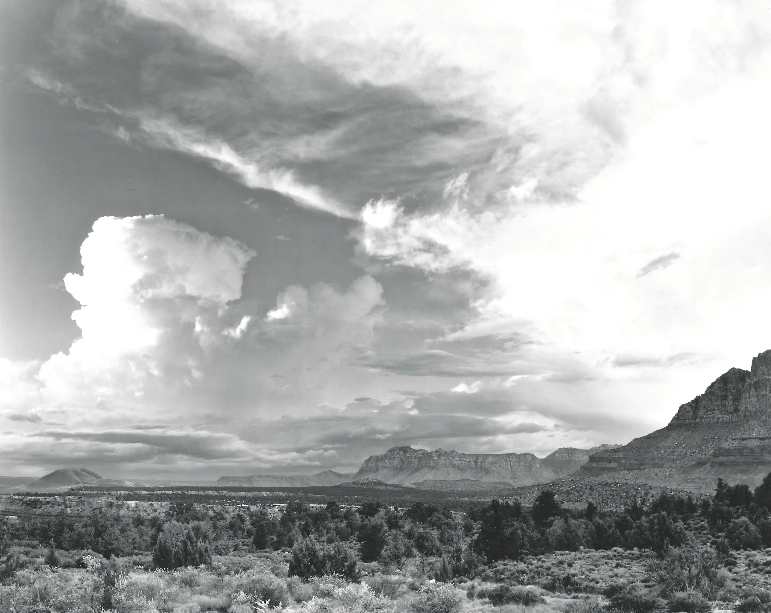 ROCKVILLE BENCH.jpeg