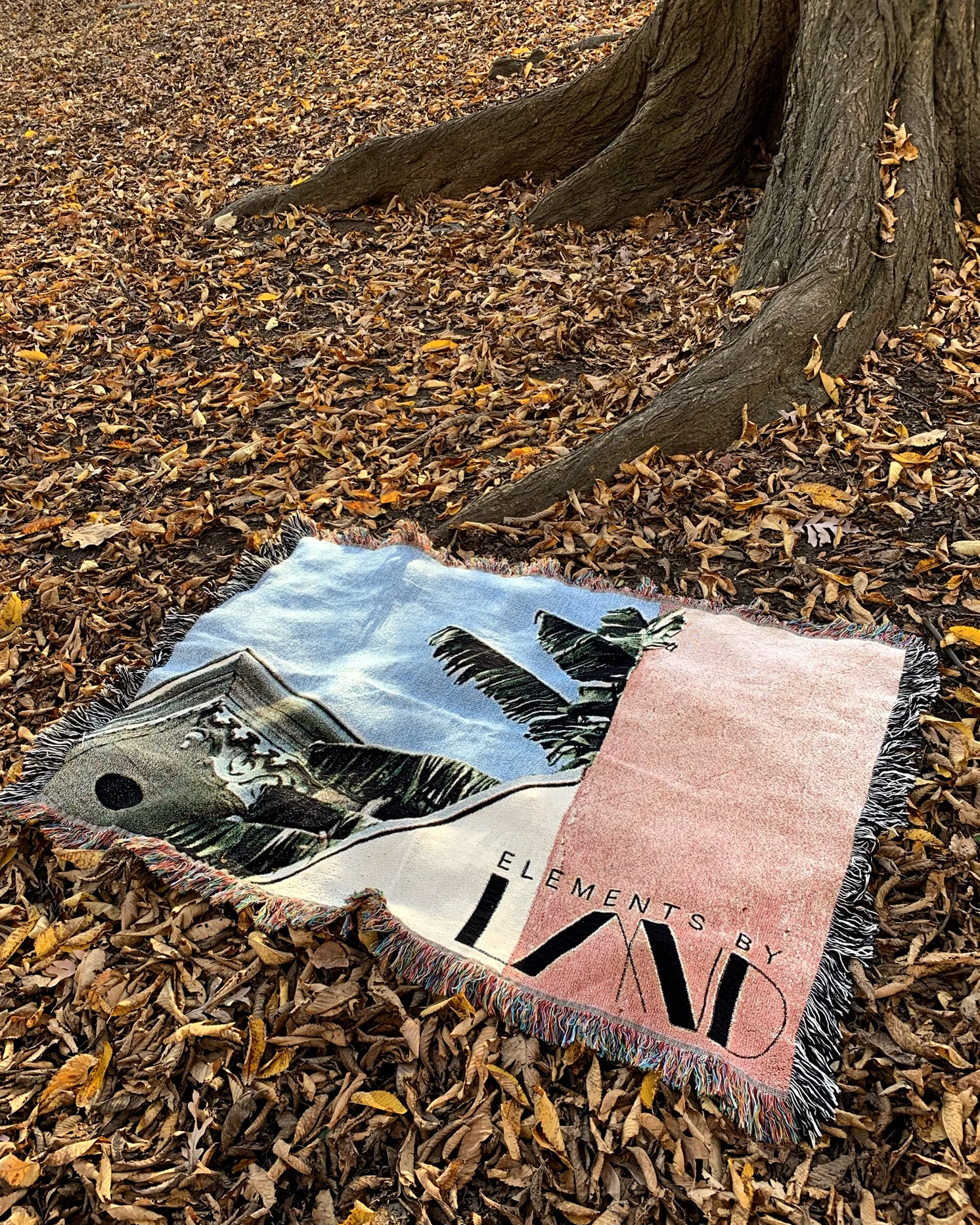 BLANKET_OUTSIDE_LEAVES_6.jpg