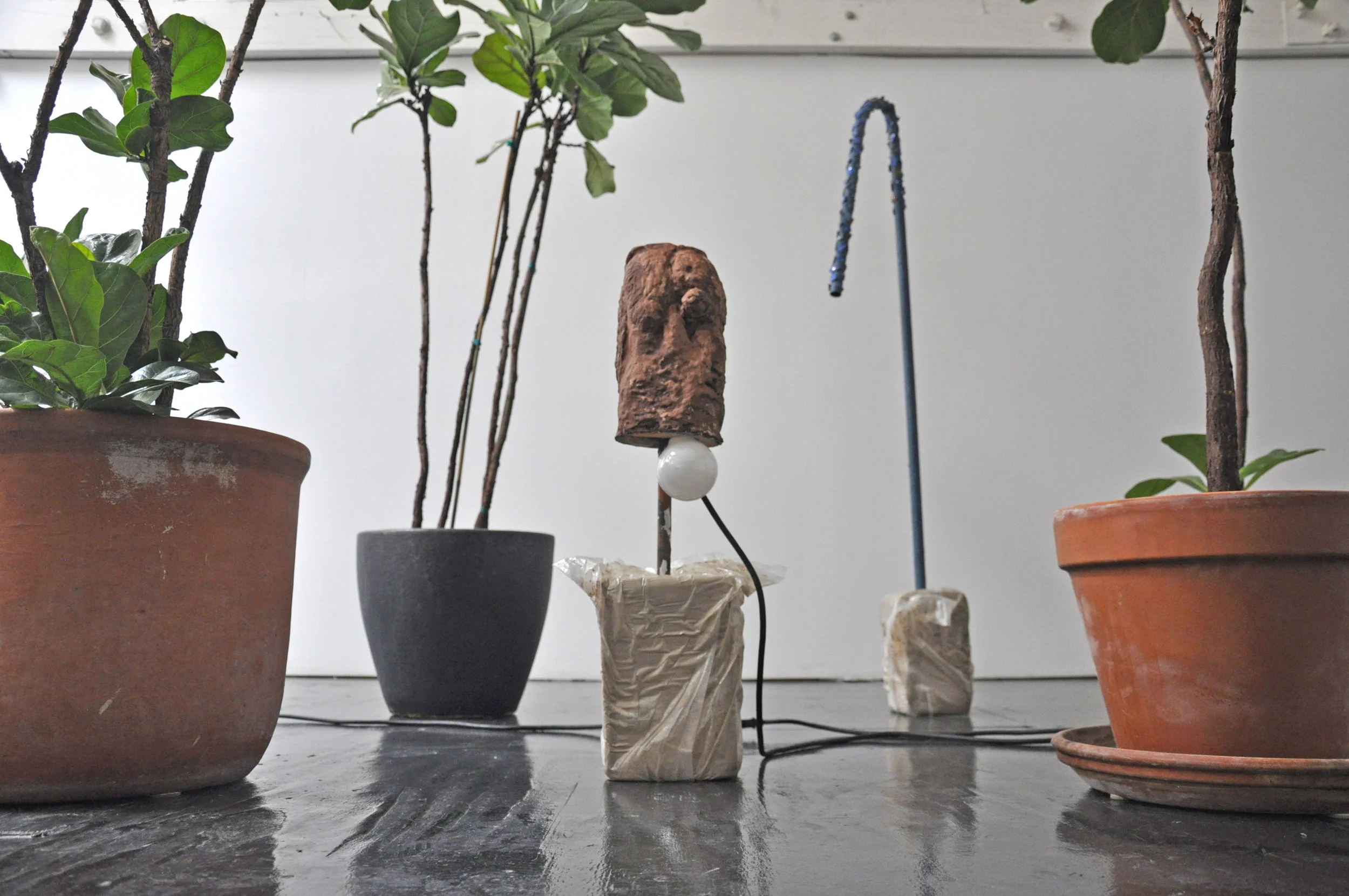 Brion Nuda Rosch, Installation View