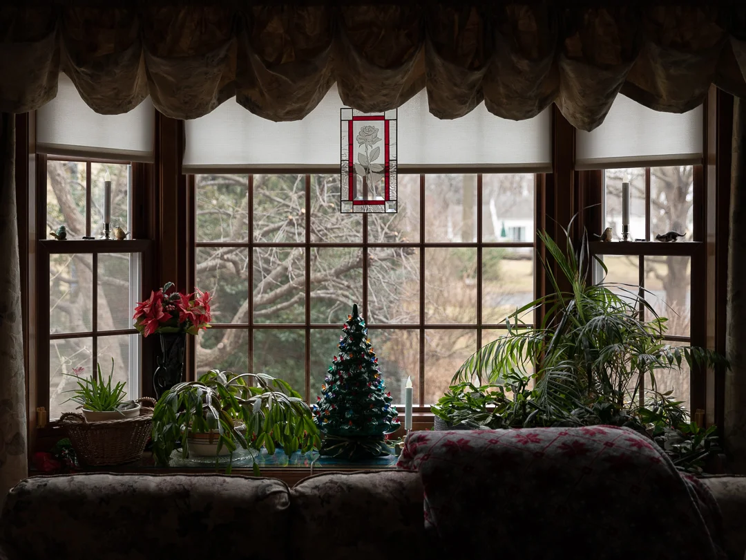 Quiet-Plate-1.jpg