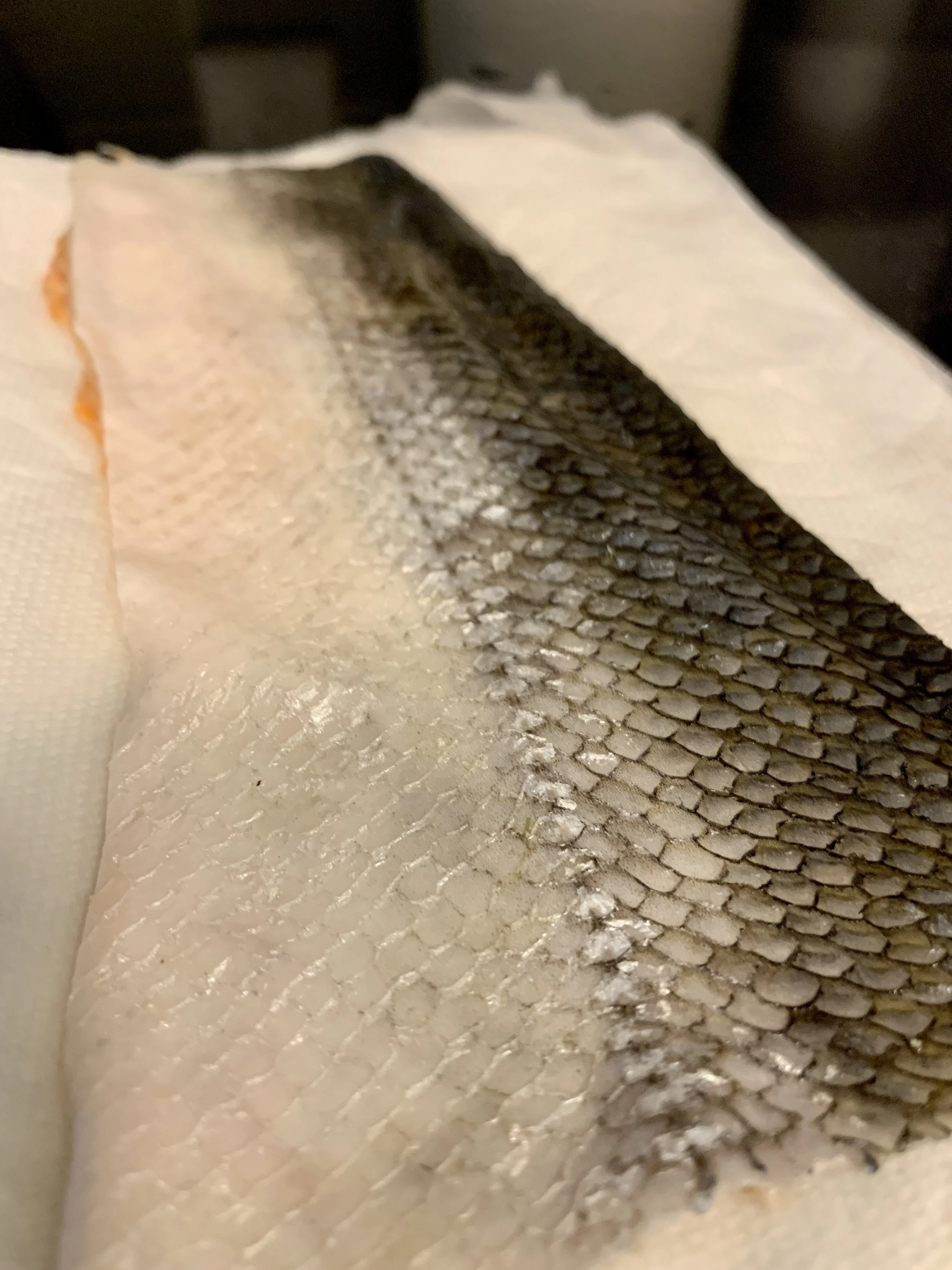 Salmon Skin Drying Process 