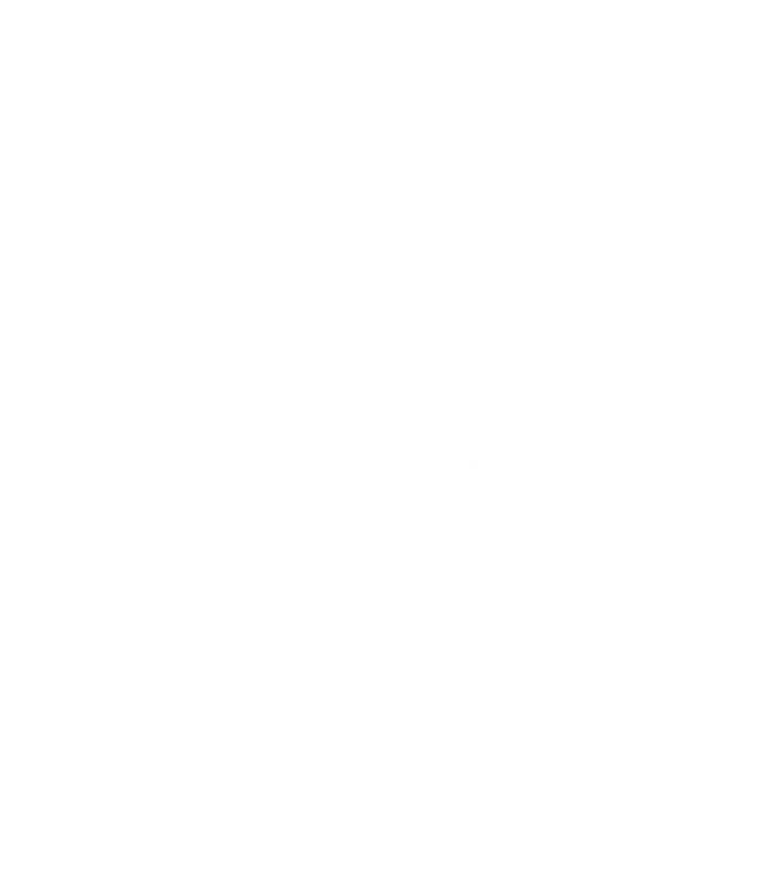 WesternHomeInspections_White.png