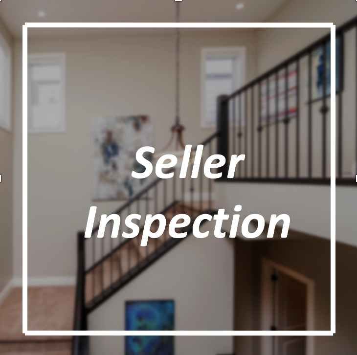 Seller Inspection - text.png