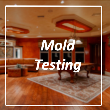 Mold Testing