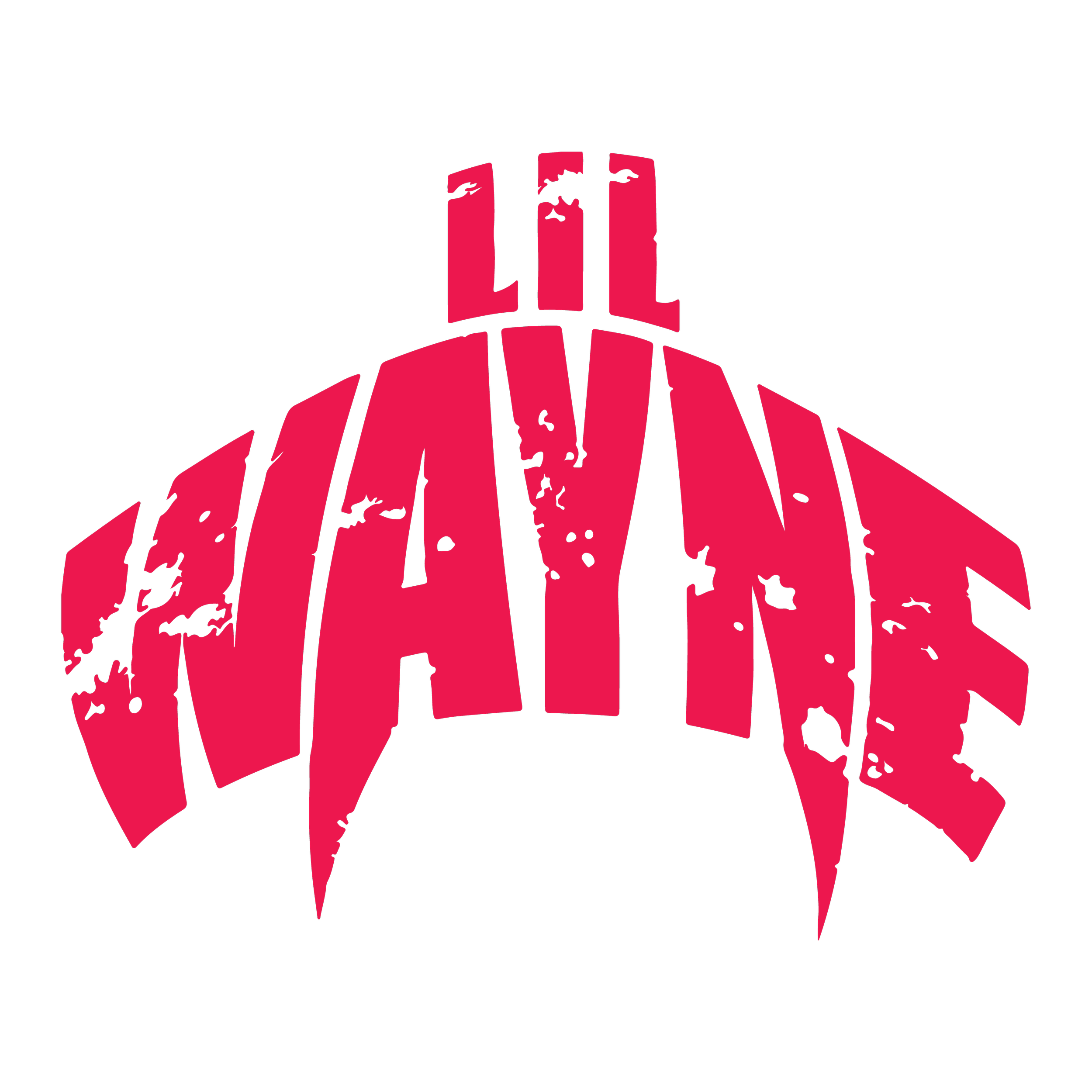 Lil Wayne project detail
