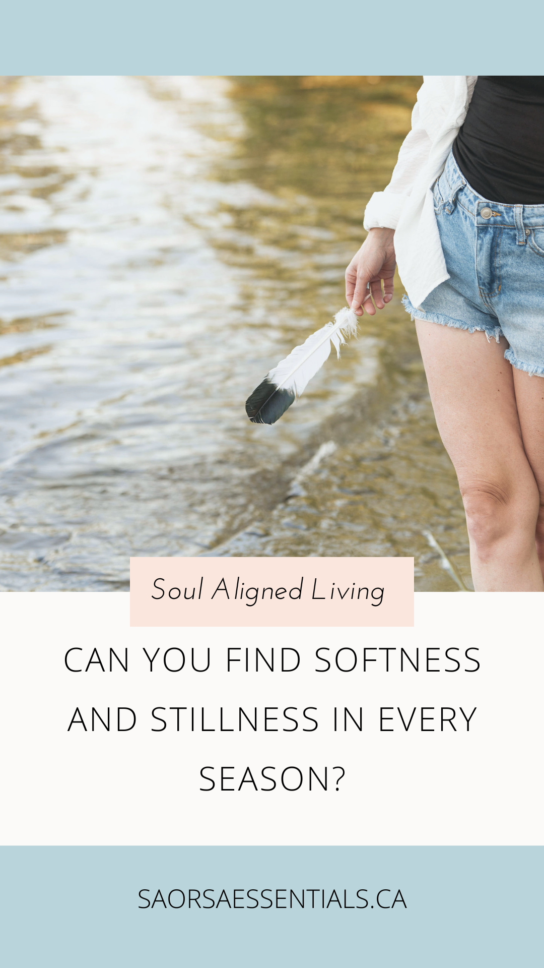 Can You Find Softness and Stillness In Every Season? 
