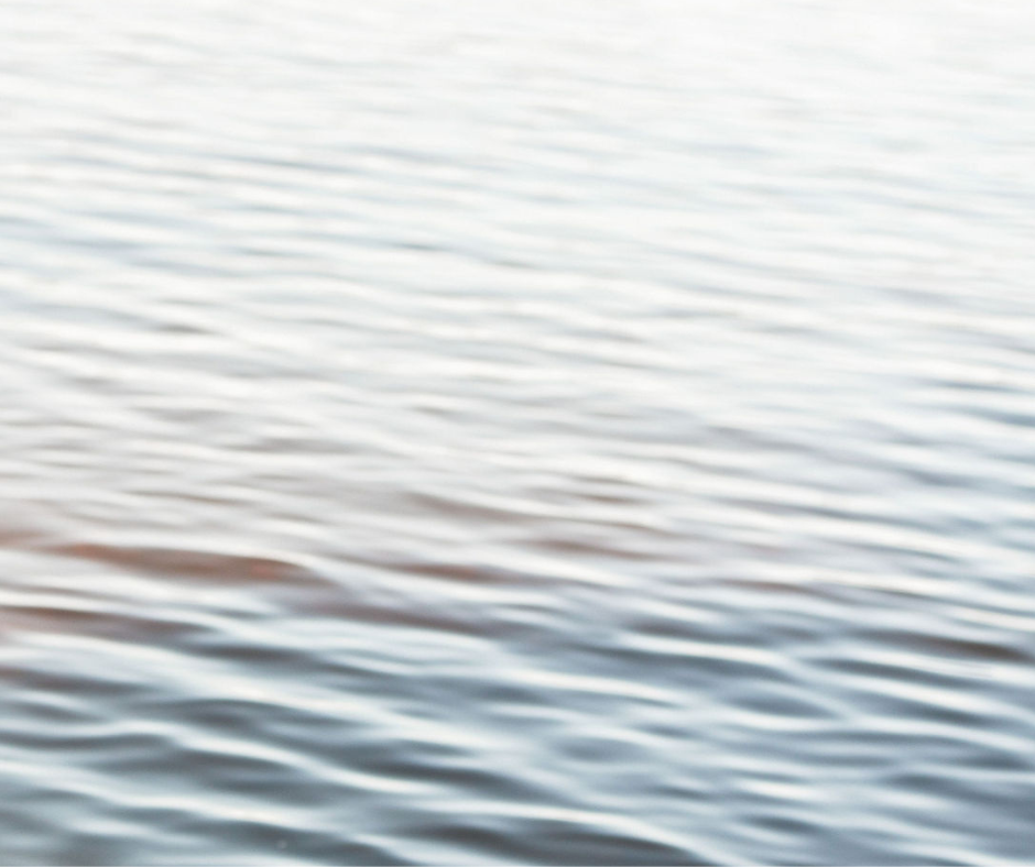 The Soul’s Igni (1).png