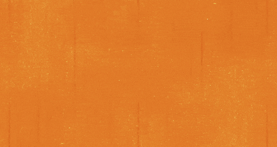 Thumbnail_TBLB.gif