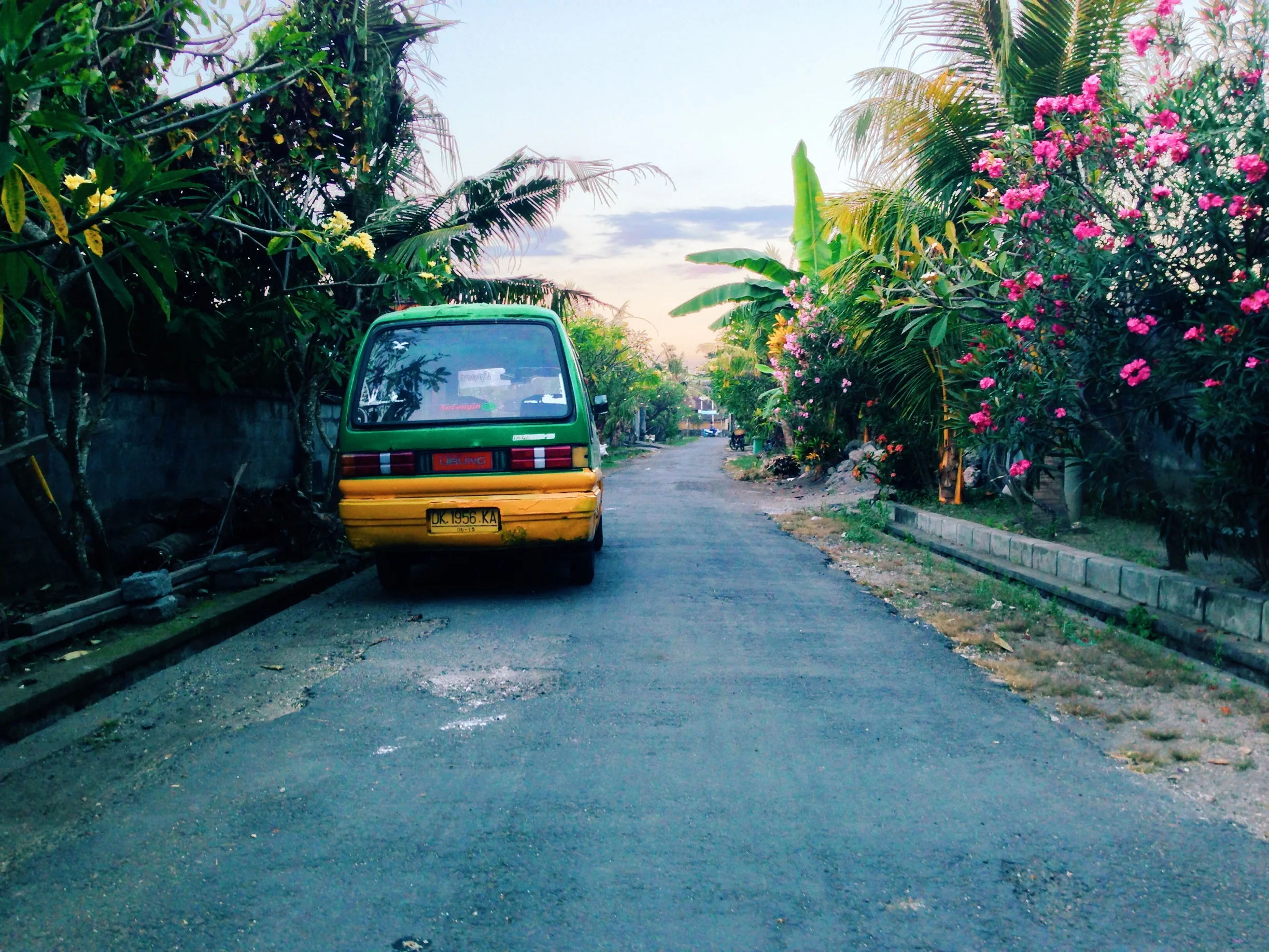 bemo road.JPG