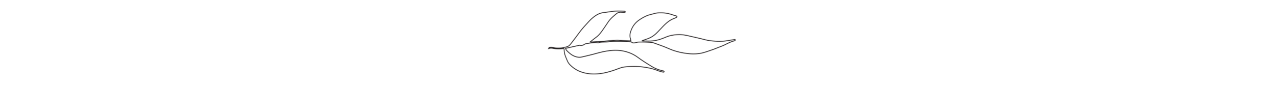 AS_Leaf_Homepage_PNG24Artboard-2.png