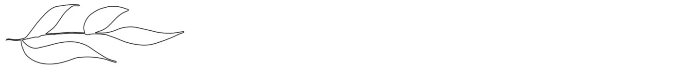 AS_Leaf_Homepage_PNG24Artboard-2.jpg