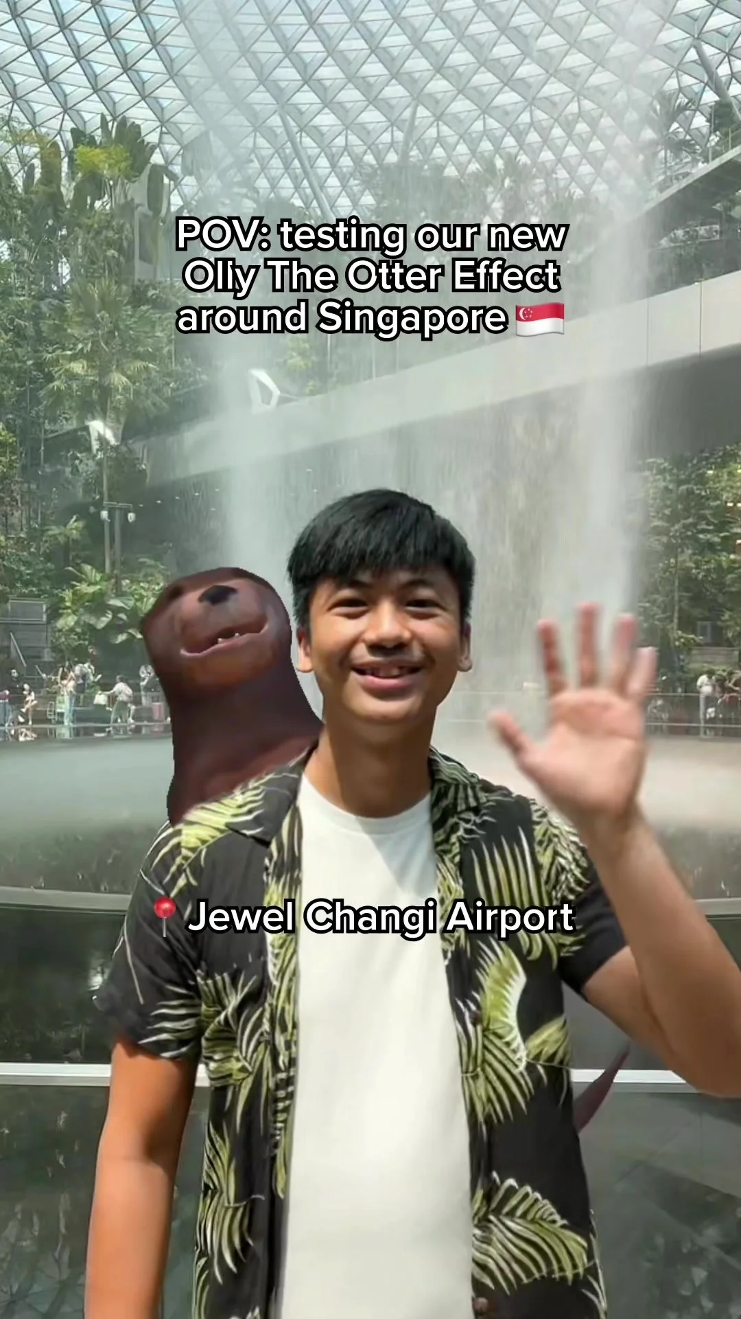 Olly The Otter TikTok Effect