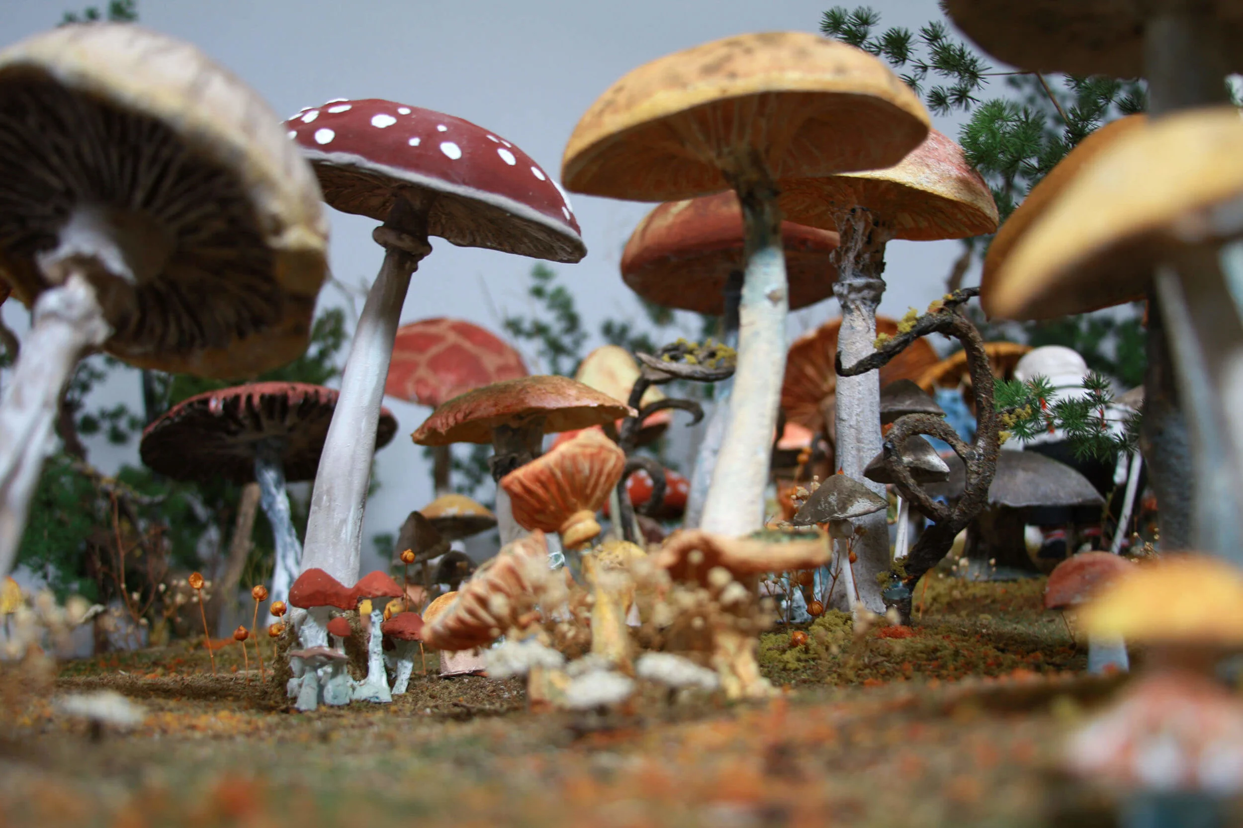 Alice in Wonderland