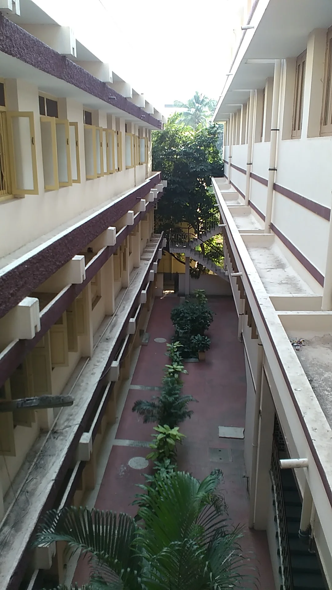 IMG_20151107_091345.jpg