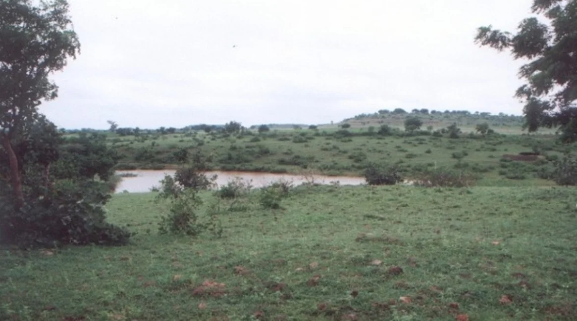 Picture3.jpg