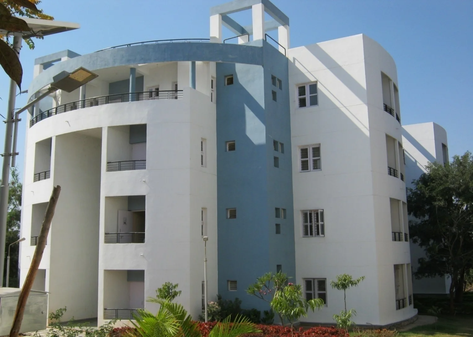 Picture1.jpg