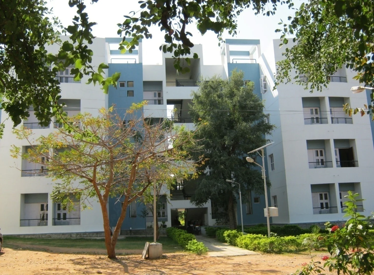 Picture2.jpg