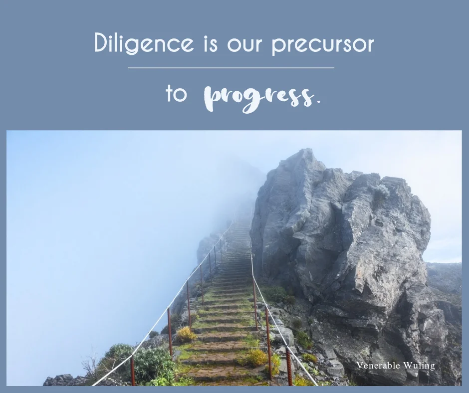 diligence.S378307366.jpg