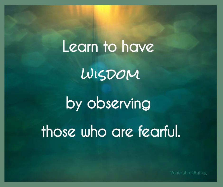 wisdom series