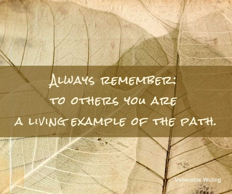 Wisdom series