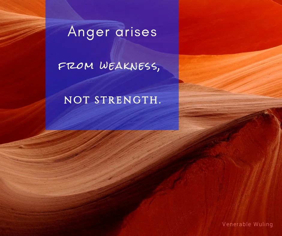 Wisdom series