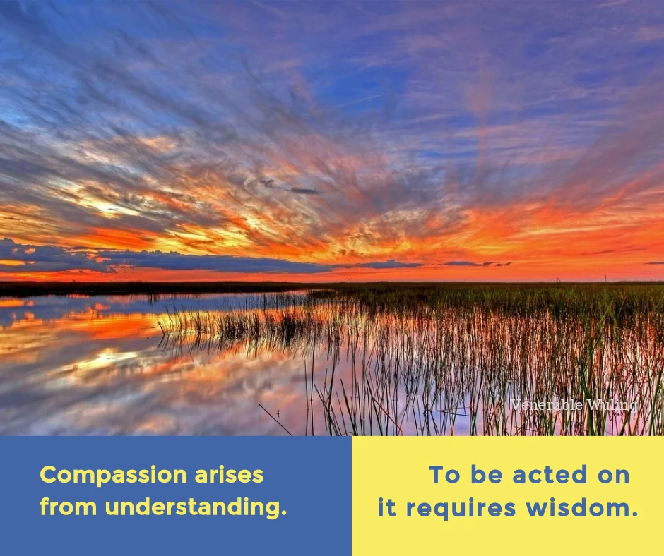 Compassion.P1018456_1280.jpg