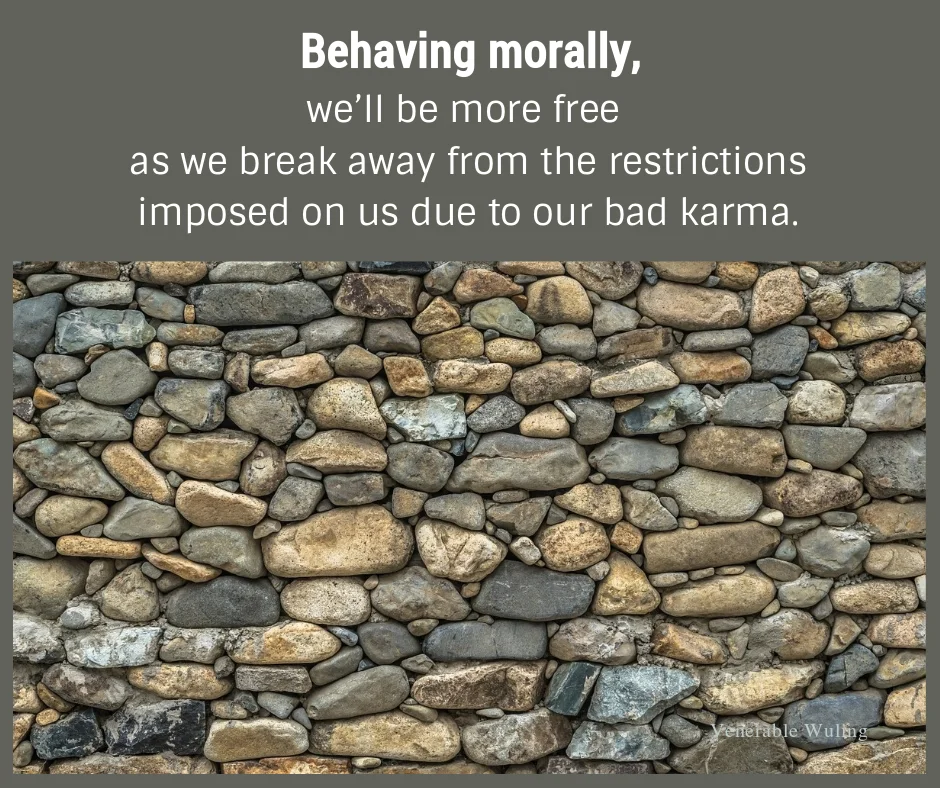 Behaving.P1394993_1280.jpg