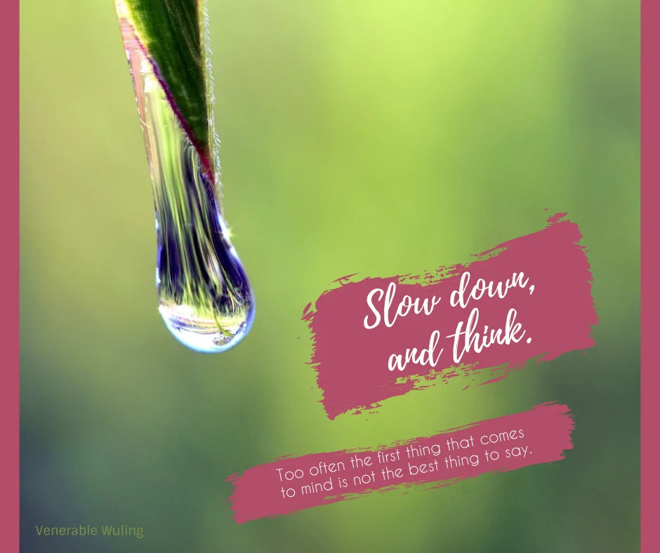 Slow+down.P2507766_1920.jpg