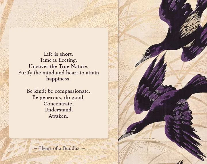 Heart of a Buddha