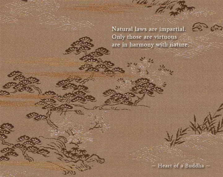 Heart of a Buddha