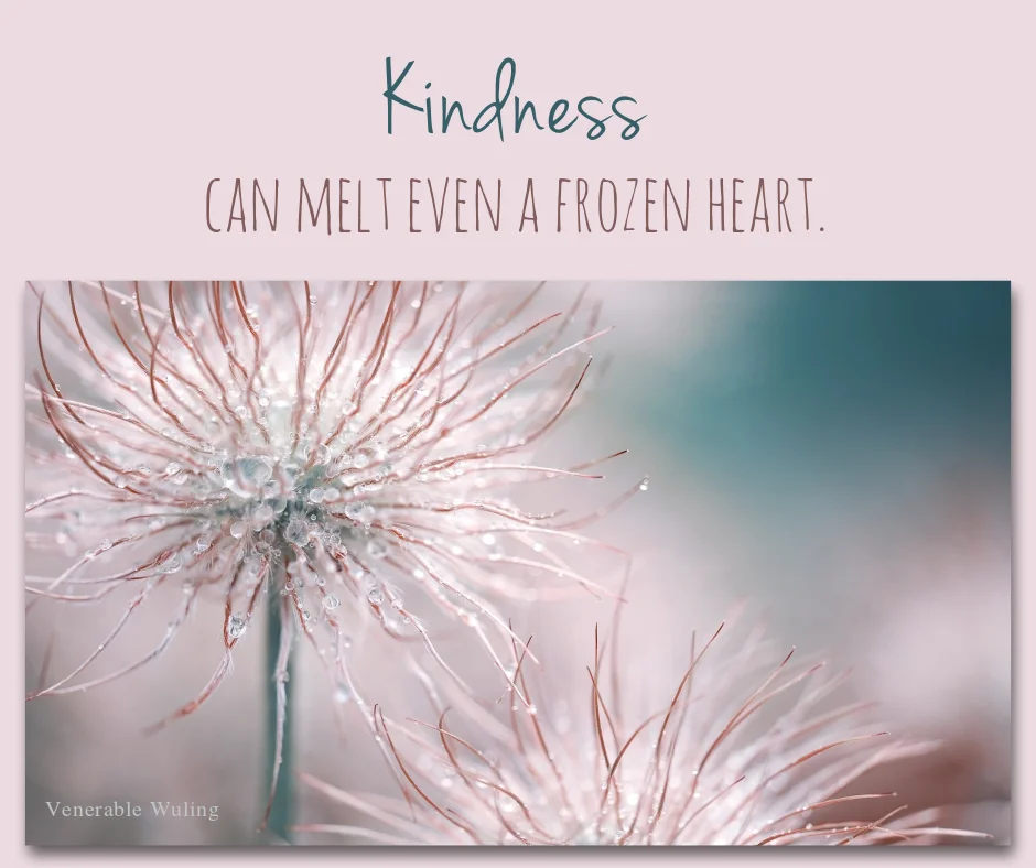 KindnessP3066824_1920.jpg