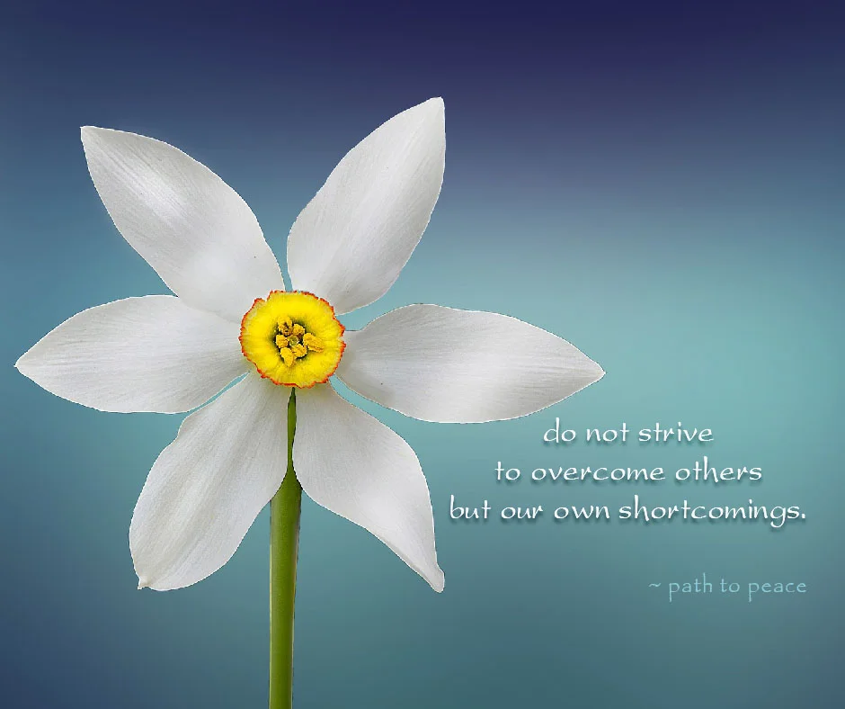 29 March