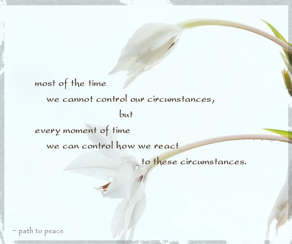 21 August